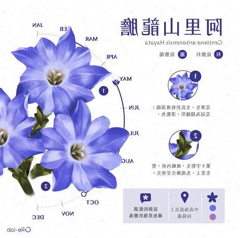 負面 花語